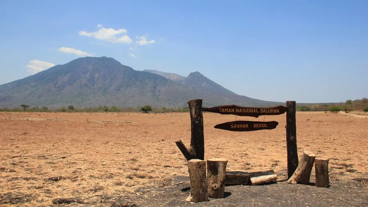 Taman Nasional Baluran